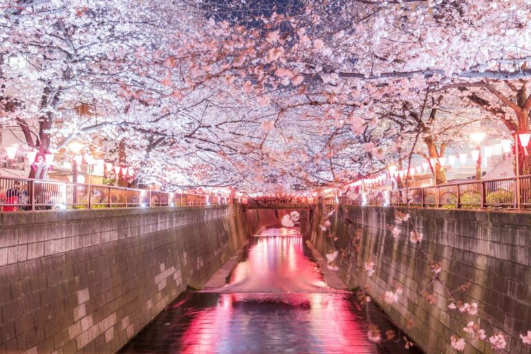 itinerario tokio