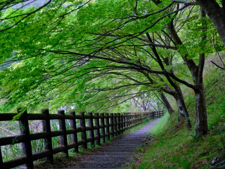 kumano kodo