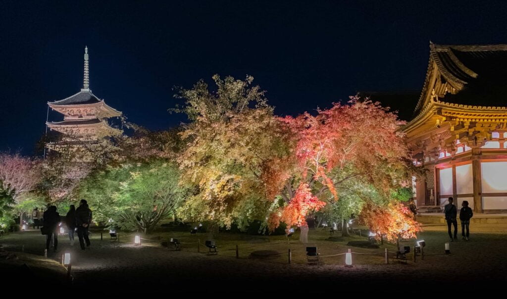 momiji in japan