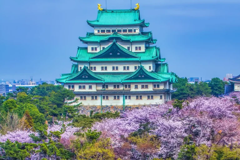 primavera en nagoya