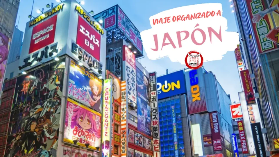 viaje a japon organizado